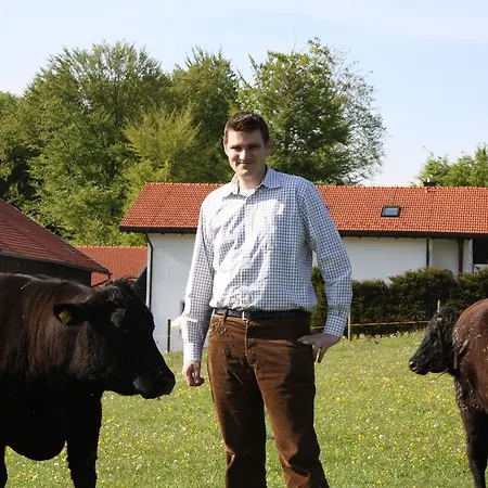 Der Obere Wirt Zum Queri Hotel