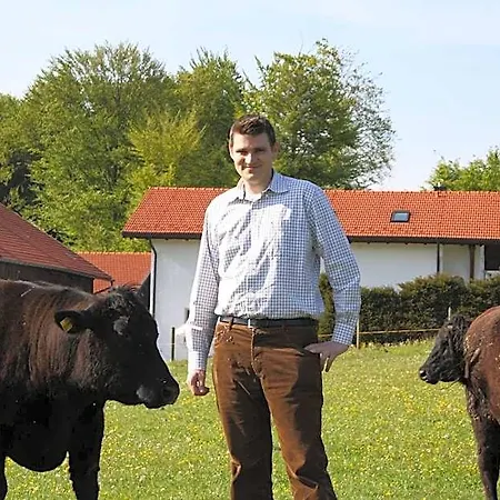 Hotel Der Obere Wirt Zum Queri 4*